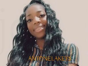 ANTONELAKEYS