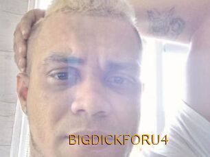BIGDICKFORU4