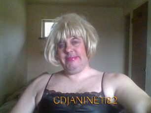 CDJANINE1182