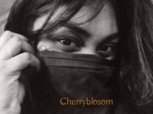 Cherryblosom