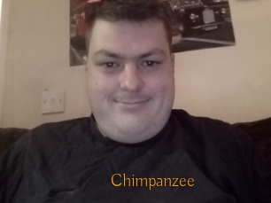 Chimpanzee