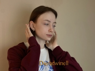 Dieradwinell