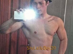 ShyLittleBoy20