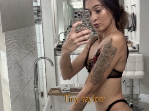 Tiny_taylorr