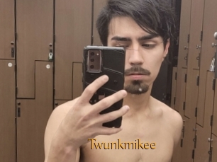 Twunkmikee