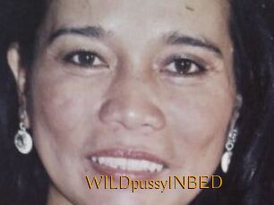 WILDpussyINBED